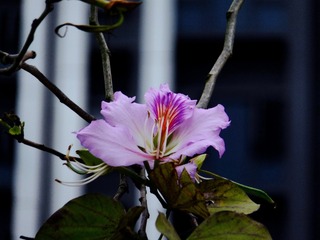 11E61094-F109-4CE0-9608-53B2DD8909C9/L0/001