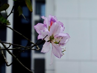 7E1EB460-46C4-4203-993E-D0ABE41962A6/L0/001