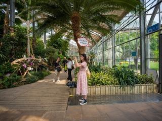 C04F9865-0E99-490D-BA3A-8DC74EC53B81/L0/001