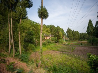 19A793A8-32F1-464E-A58C-C9F346C40DA2/L0/001