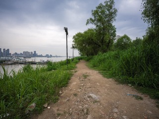 9F721C16-4C78-4482-A56F-603DF7C9FE22/L0/001