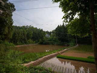 12EEDB03-041A-4A09-8225-7FEAB3E58245/L0/001