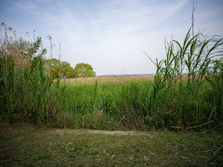 B1CABC63-80DE-42C4-909B-F02F4BB95348/L0/001