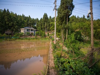 35D76EC5-9249-4E92-A324-3CD2496D469E/L0/001