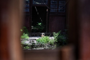 D2D0CB72-F380-481F-ADCC-D639243AE5C3/L0/001