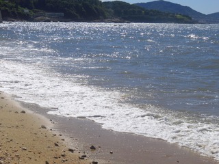 8EE26733-F0FD-40E7-86C1-5BD10292E09A/L0/001
