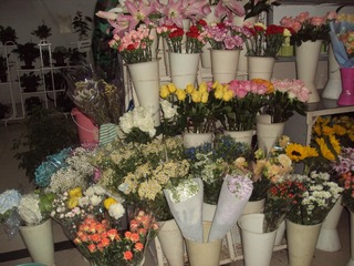 3E41880E-D66F-40D9-BBFB-158067329A3C/L0/001