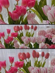 01F2BF6F-3FCD-4E7B-BF45-79B0ED93A9EE/L0/001