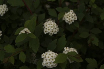 3EC30742-F108-471C-8A8D-441262DEC675/L0/001