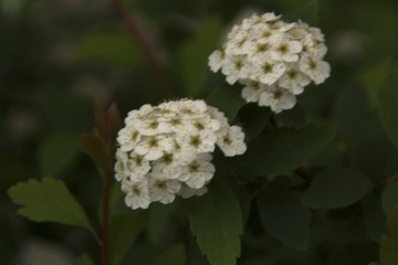 6DD90659-BEEC-4200-9354-1BB1F29E6DBE/L0/001