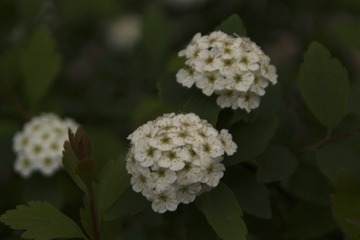 D17C8516-E5E1-4EEE-8C7D-8447849D1BBE/L0/001