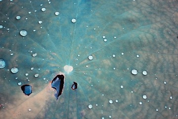 IMG_1697-4