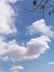 327