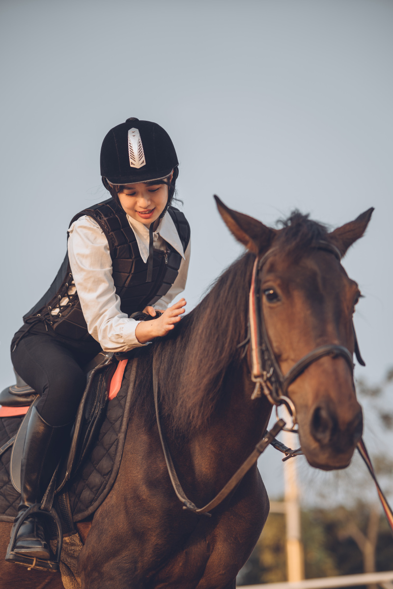 落日黄昏骑马小姐姐