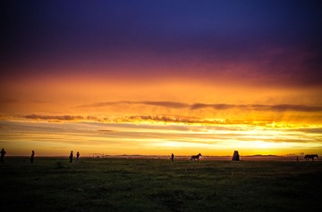 IMGP3074-3.jpg