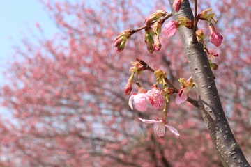 8F94818C-9FC6-429C-BB5A-1FE9D5F732DF/L0/001