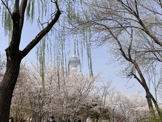 633DF461-101F-4682-96CE-6E92F8990418/L0/001