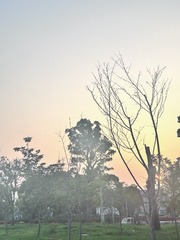 4115C7F9-A99A-45F8-9D13-6C62A53C519A/L0/001
