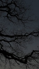 A5E00593-1793-4C9B-A654-5CA96B841C38/L0/001