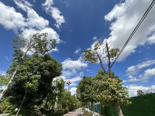 D29CC203-7458-42BD-AB47-9B70B339FF73/L0/001