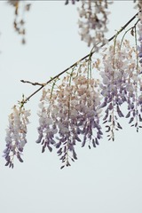 16F1EC39-C940-42C4-B6C5-B97FF9C55146/L0/001