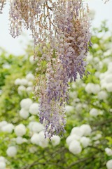 F8E8939A-8E9E-40CF-B077-6EA081AD60B4/L0/001
