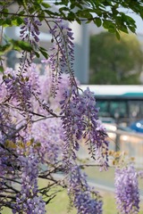 39B2C629-D675-4C28-B5CC-958FAE539D20/L0/001