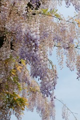 2C814D8D-FDF1-4B55-9CEF-935B2AE3F853/L0/001