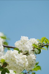 2DE12C5C-91B7-4E9E-9360-DB62A30AC1CC/L0/001
