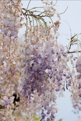 91720A42-F6A9-4A24-9A7B-91569B945C77/L0/001