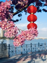 1F4497A5-5DBA-4859-875F-44D55EBB2BA4/L0/001