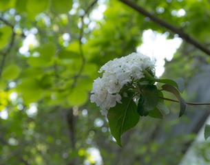 8949CF0E-48A3-4726-8F76-A43CE25B39F9/L0/001