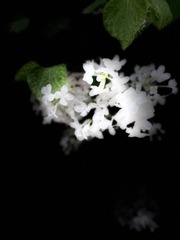 B2ADA811-E4AE-42A5-86CE-EA99C0C23029/L0/001