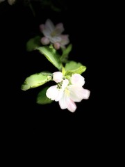 4CA18832-D255-4192-AD7E-B35E735B8BC3/L0/001