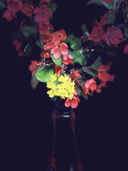 BCB0F0B3-E938-4C2F-B005-33CA7ECC0848/L0/001