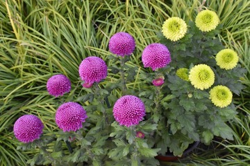 C360_2011-04-11 16-38-42