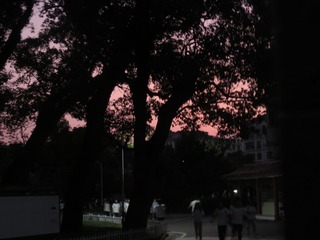 EC6F35F5-99F7-4B04-8B2B-4072930D0380/L0/001