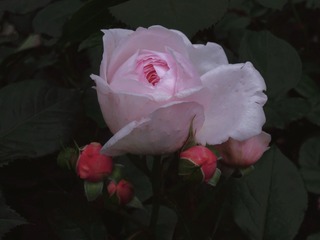 7617906F-A578-4440-AE17-72419504BAF8/L0/001