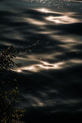1000036017