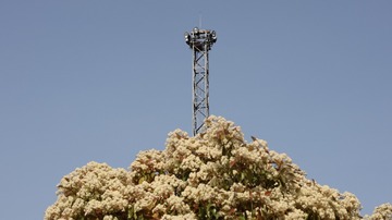 94283912-DE0F-45AD-9C6A-50C2594939FD/L0/001