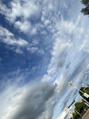 434E5E44-5A85-40CF-8A66-AF81B7D2C6D8/L0/001