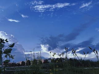 B02B129D-B2A2-4919-B5B5-50DD117211C9/L0/001