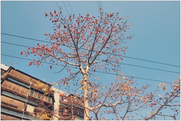 P3100332_副本.jpg