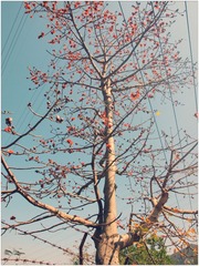 P3100333_副本_副本.jpg