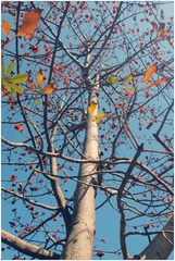 P3100338_副本_副本.jpg