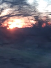 326