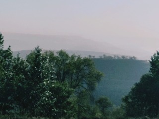 1210126