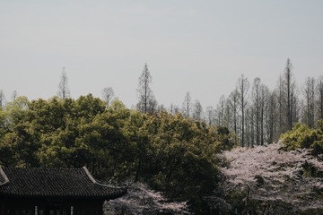 0874AEB9-1717-4BA2-87A6-DFAD65AC9D82/L0/001