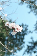 6E4B9127-9AB8-4843-880F-CFB23E2AFFB5/L0/001