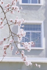 7457935A-0817-4123-A84A-CF6D909B530A/L0/001